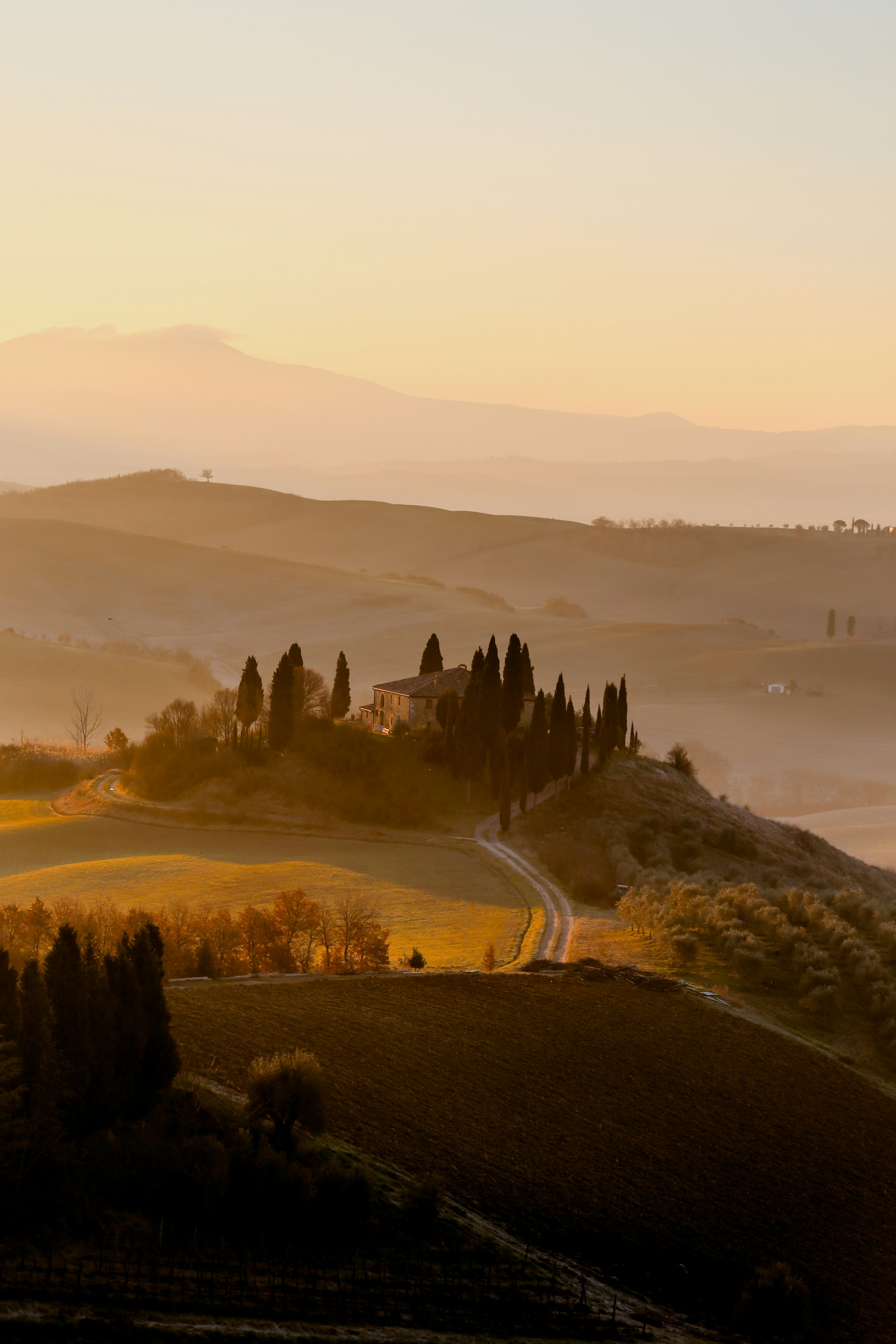 Morning mist over the golden hills and cypress trees of the Val d'Orcia