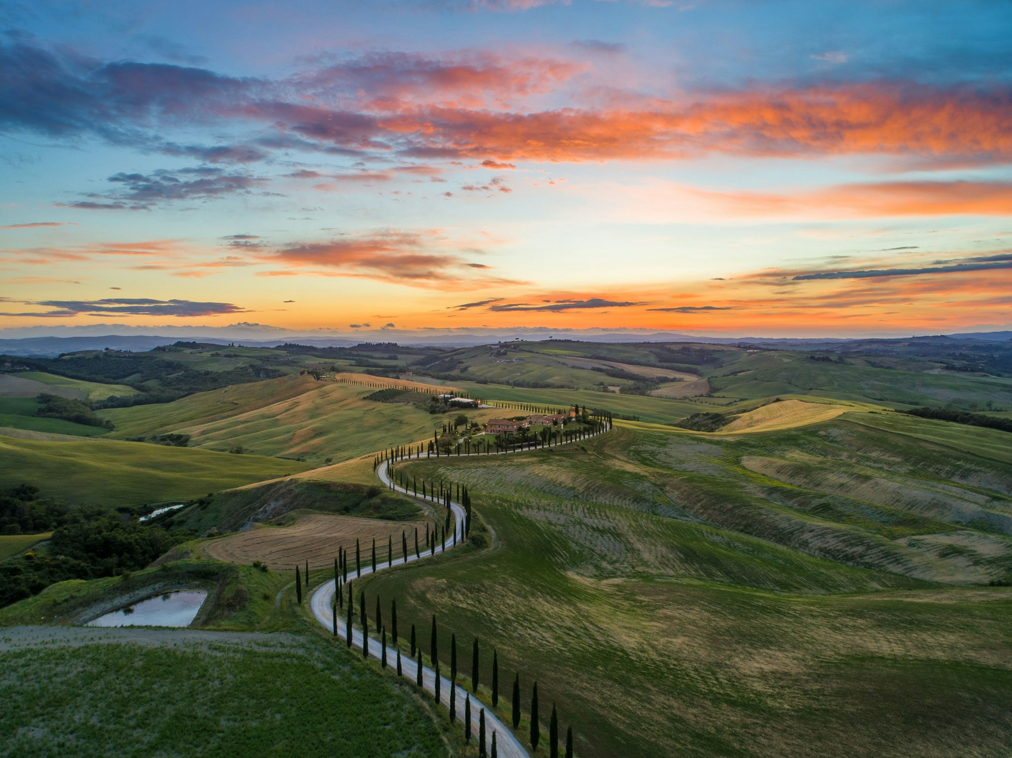 A cypress-lined road winding through the golden hills of Tuscany at sunset